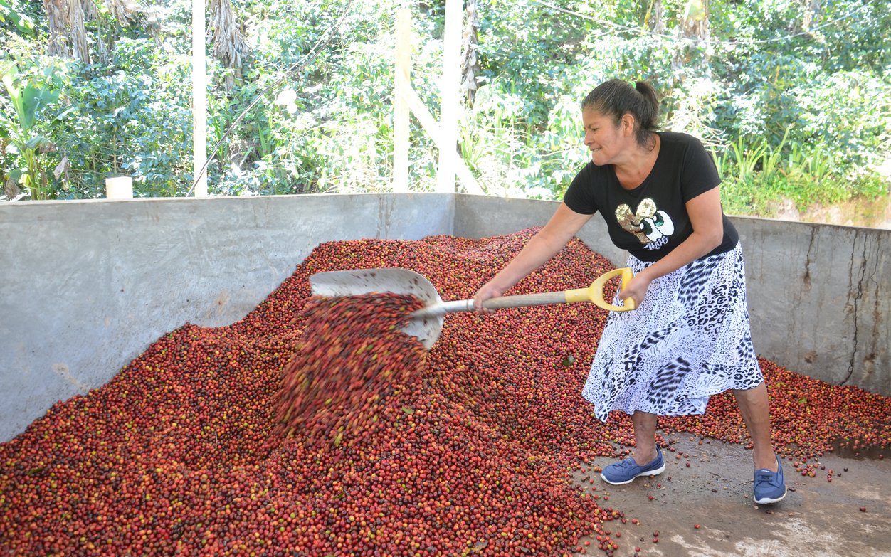 Kaffeeproduzentin aus Honduras