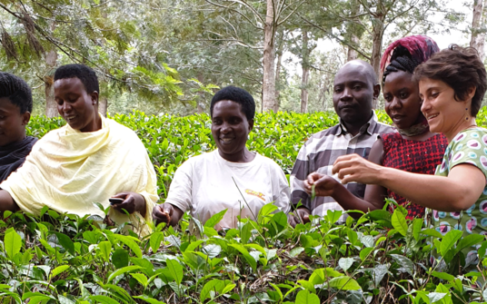 Workshop zur Anpassung der Kaffeeproduktion an den Klimawandel in Uganda beim Kaffee-Kooperativen-Dachverband Bukonzo. Den Workshop in Uganda haben die Fair-Handels-Organisationen GEPA und Naturland gemeinsam durchgeführt. 